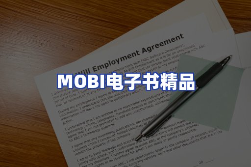 外文电子书产品